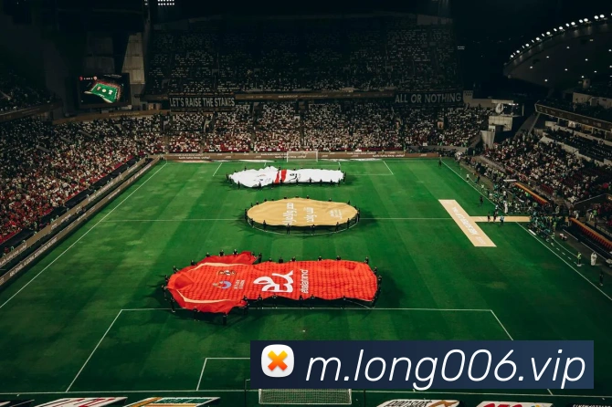 龙8-long8(国际)官方网站发展历程